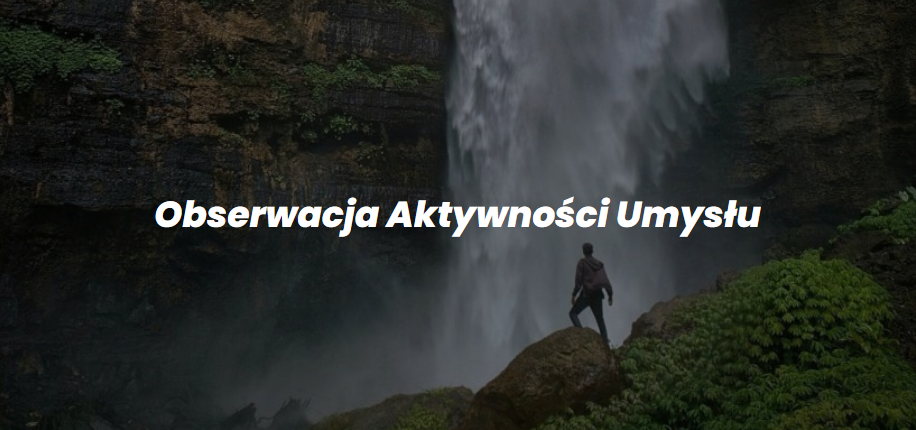 Obserwacja Aktywności Umysłu - narzędzie rozwojowe