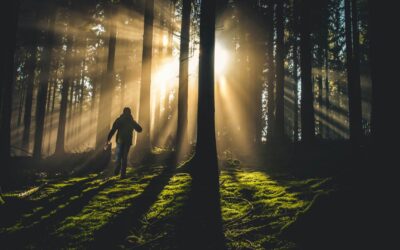 Czym jest szczęście? Odpowiedź, bez której nie dowiesz się jak być szczęśliwym (cz. 2/3)
